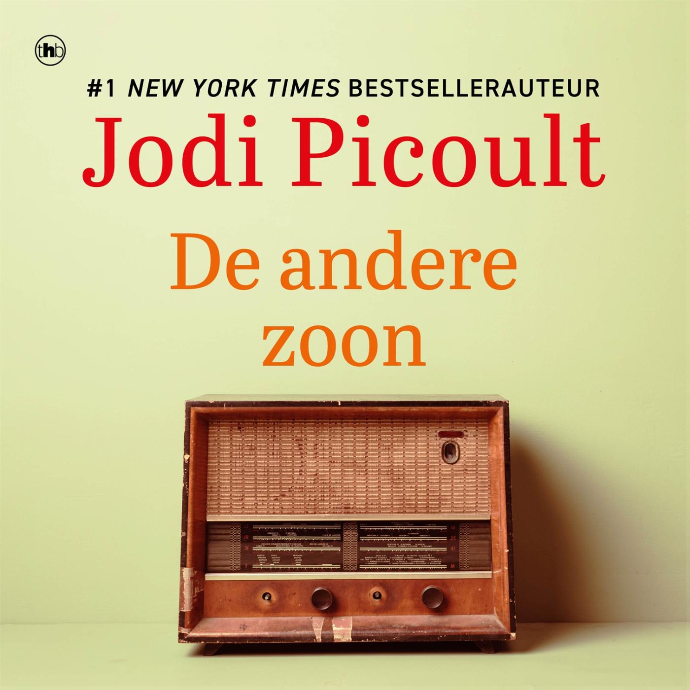 Omslag van De andere zoon