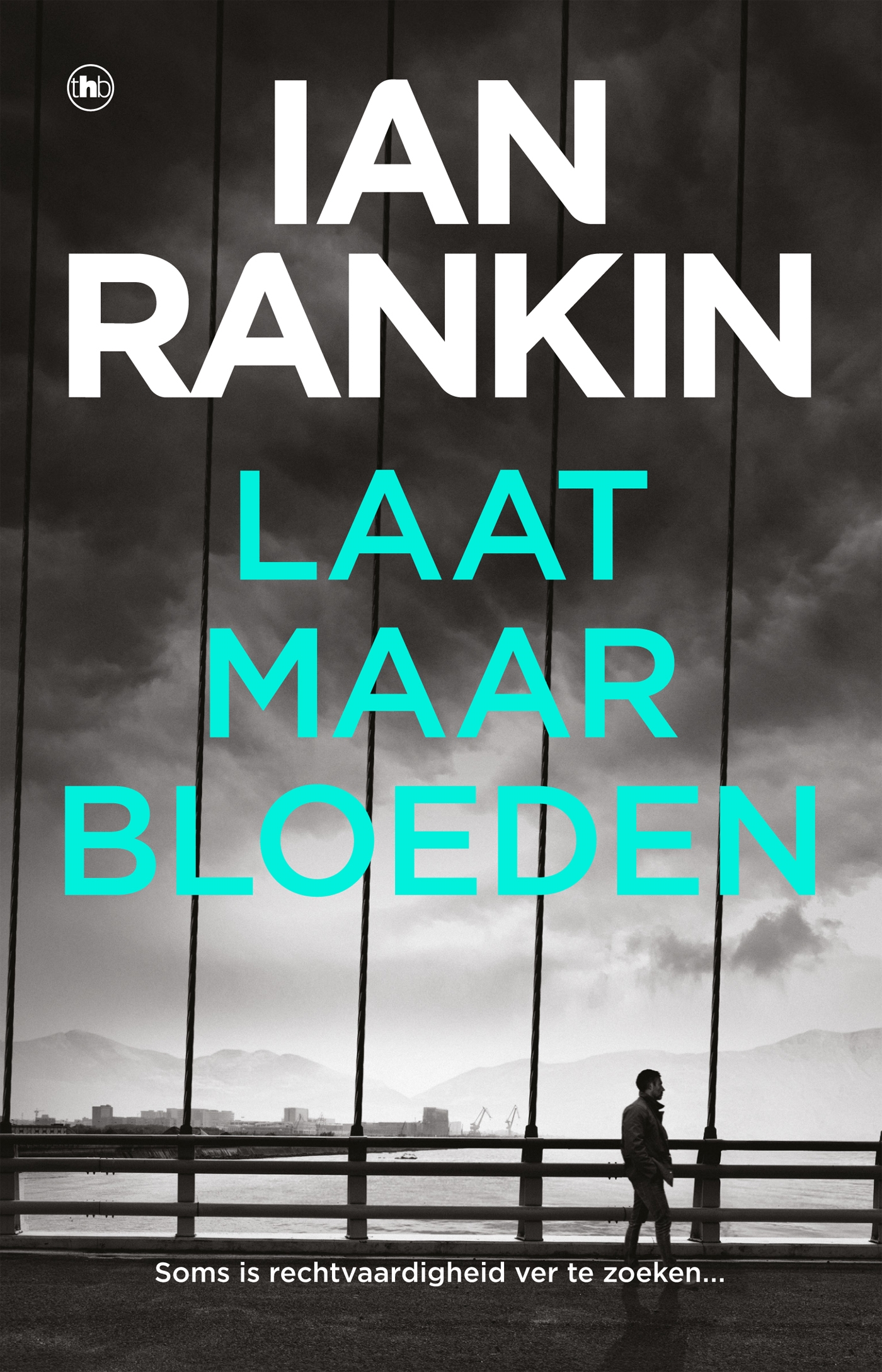 Omslag van Laat maar bloeden