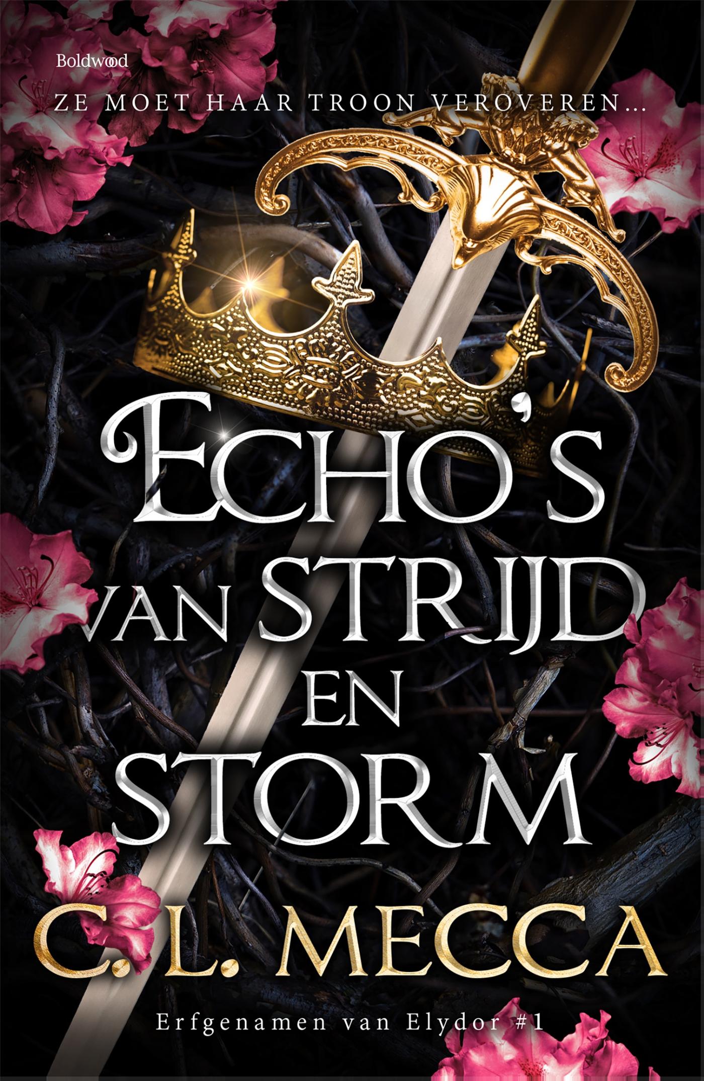 Omslag van Echo's van strijd en storm