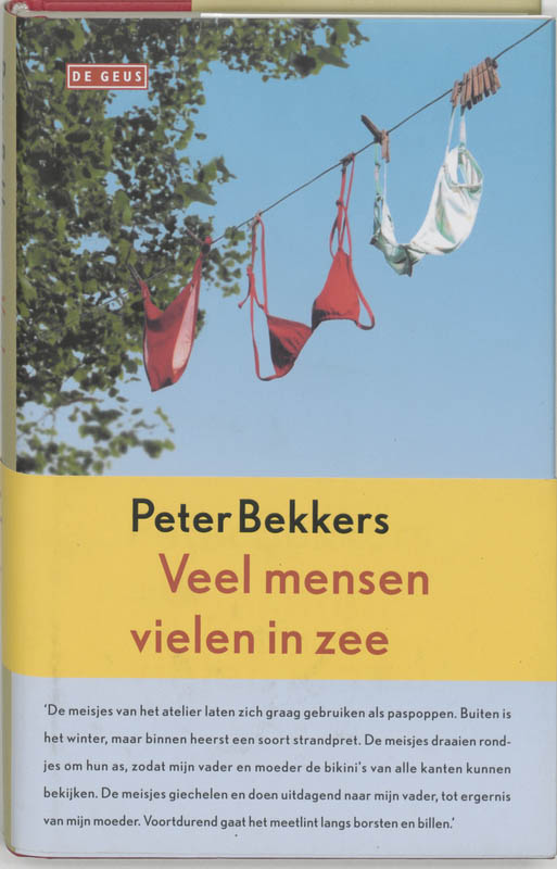 Omslag van Veel mensen vielen in zee