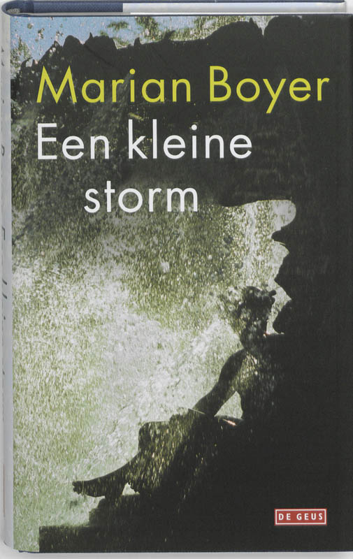 Omslag van Een kleine storm