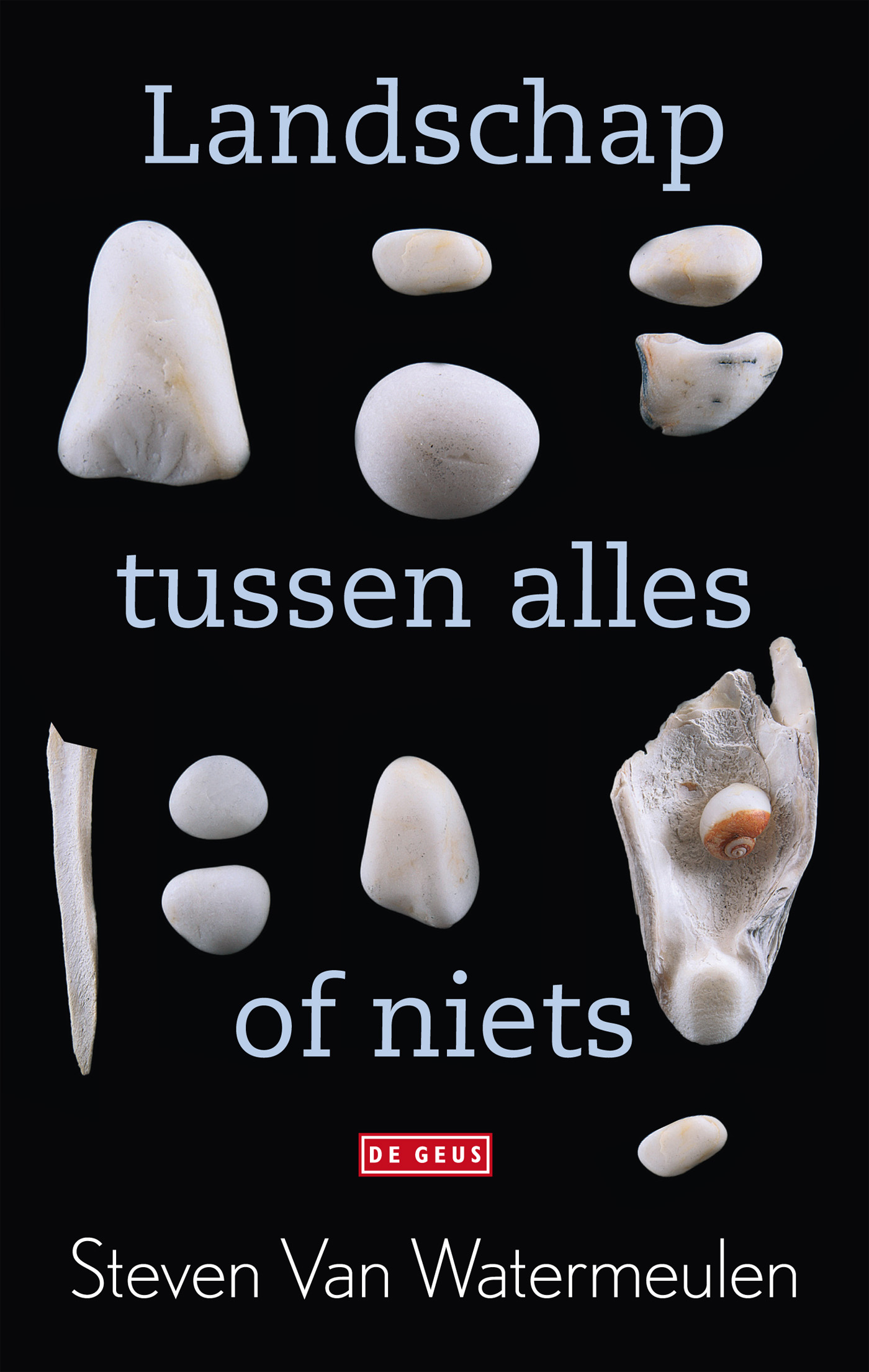 Omslag van Landschap tussen alles of niets