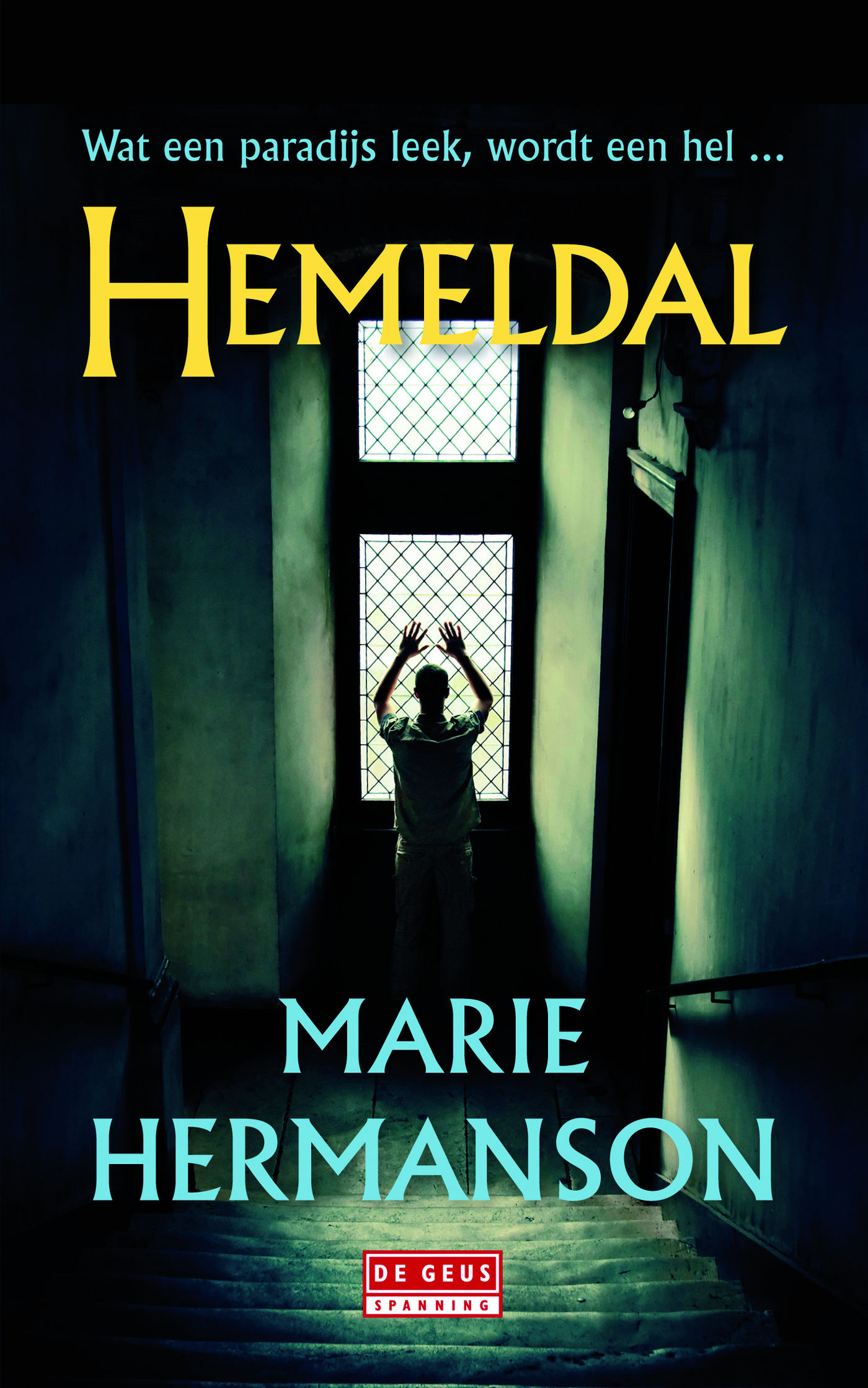 Omslag van Hemeldal