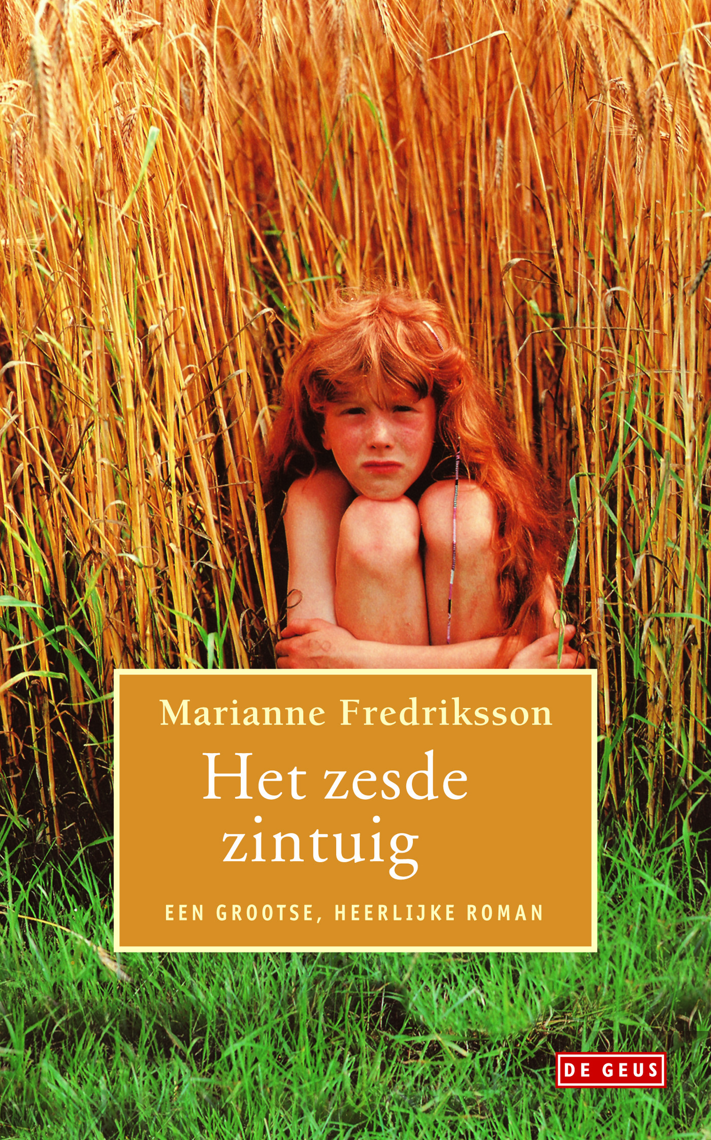 Omslag van Het zesde zintuig