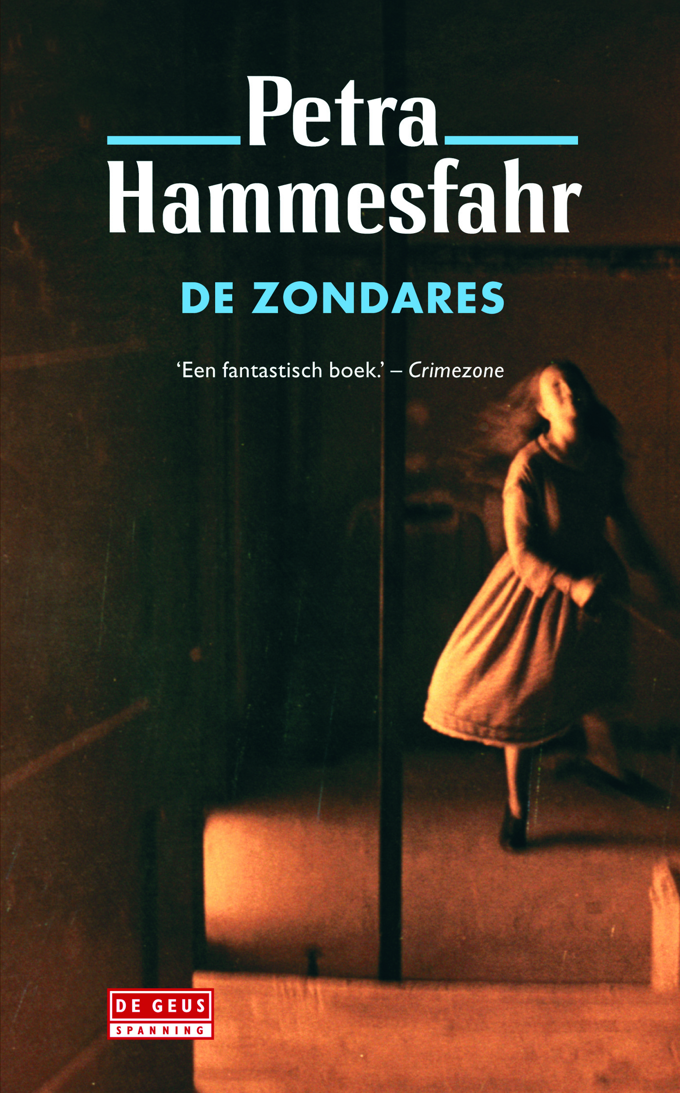 Omslag van De zondares