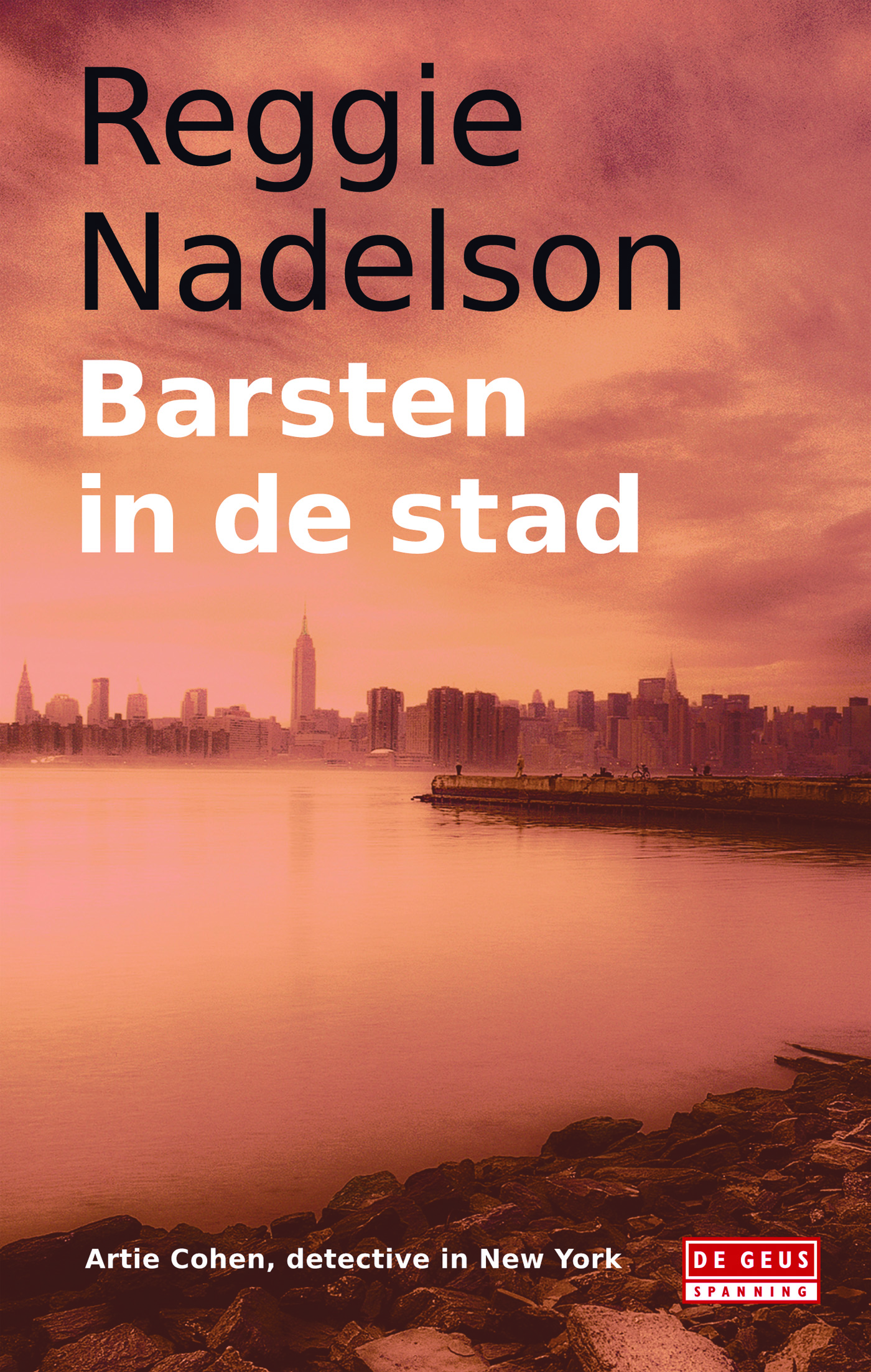 Omslag van Barsten in de stad