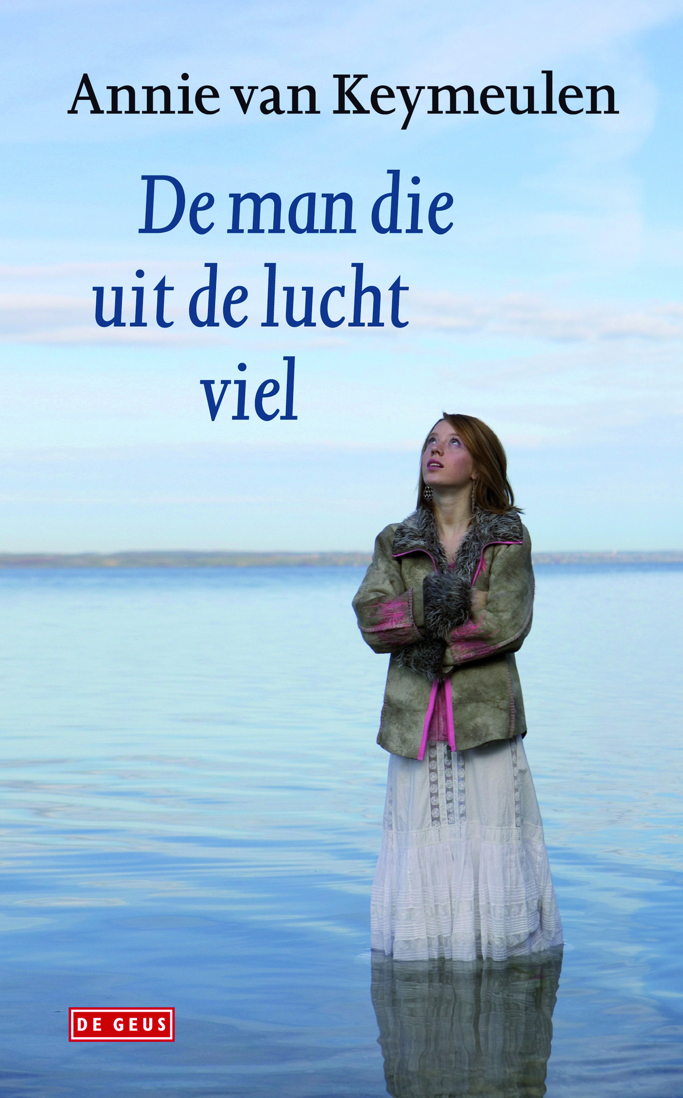 Omslag van De man die uit de lucht viel