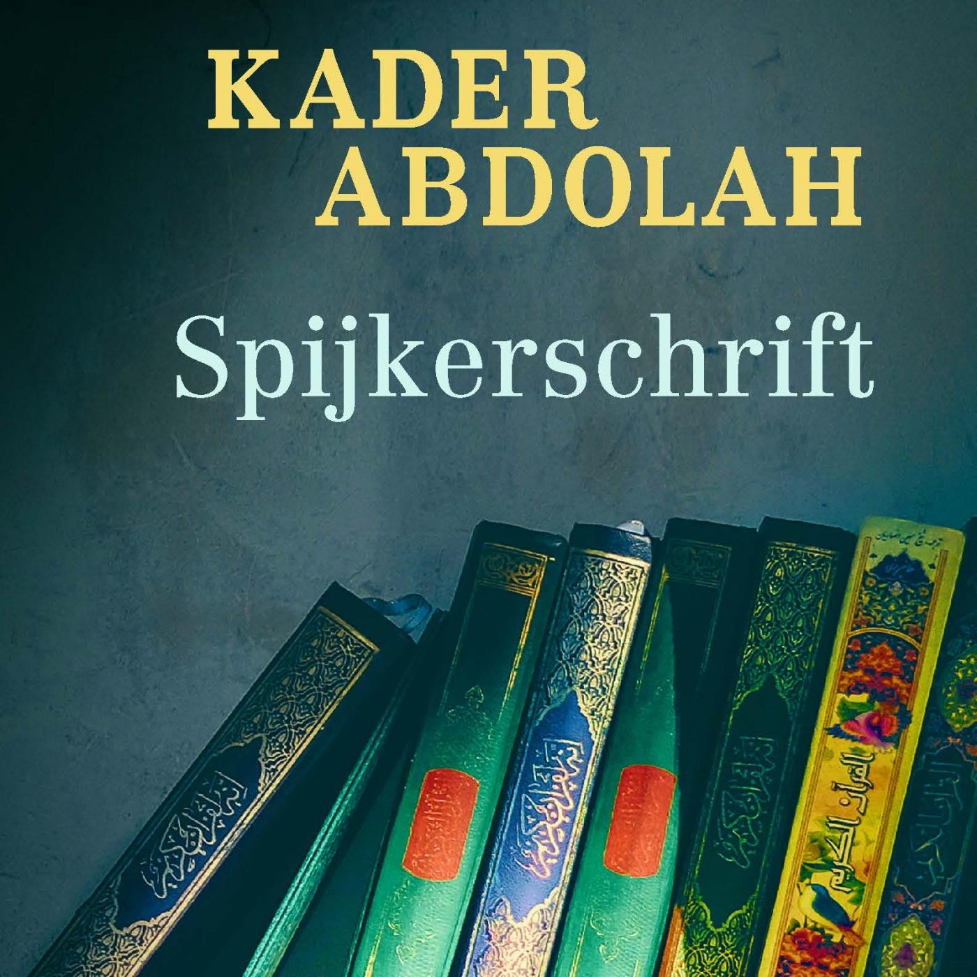 Omslag van Spijkerschrift