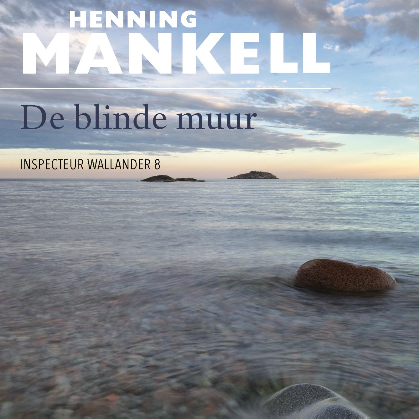 Omslag van De blinde muur