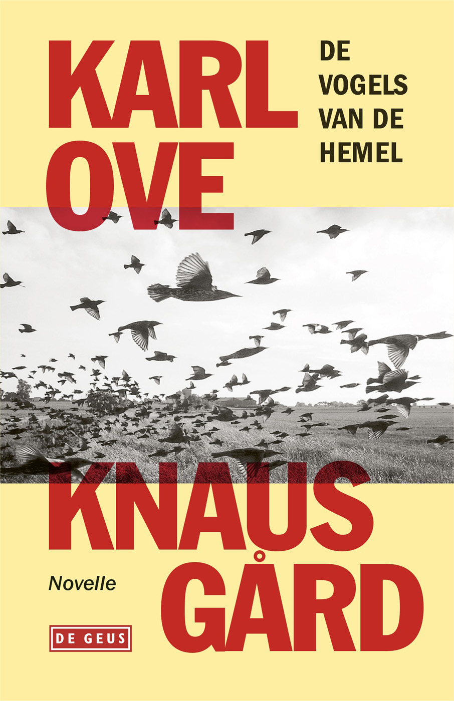 Omslag van De vogels van de hemel