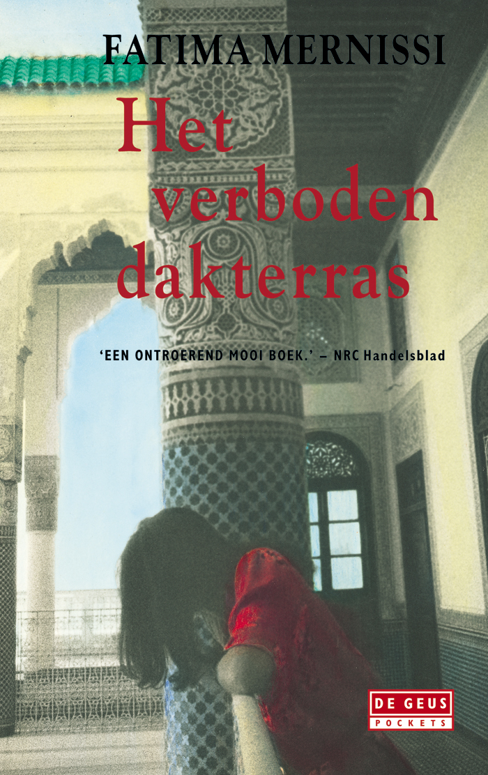 Omslag van Het verboden dakterras