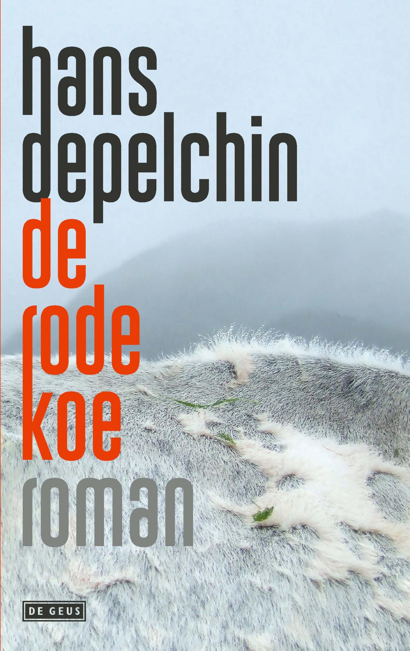 Omslag van De rode koe