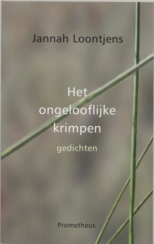 Omslag van Het ongelooflijke krimpen