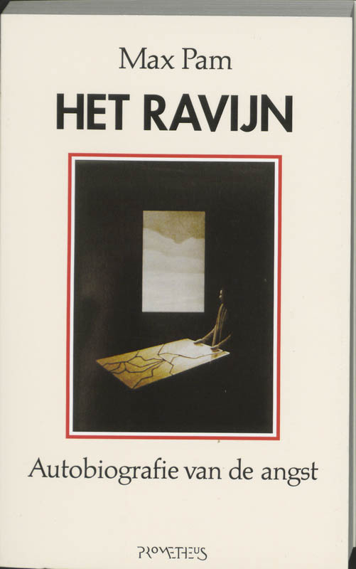 Omslag van Het ravijn