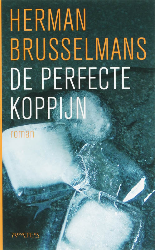 Omslag van De perfecte koppijn