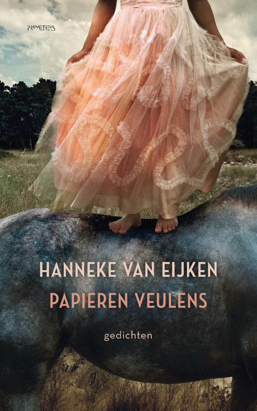 Omslag van Papieren veulens