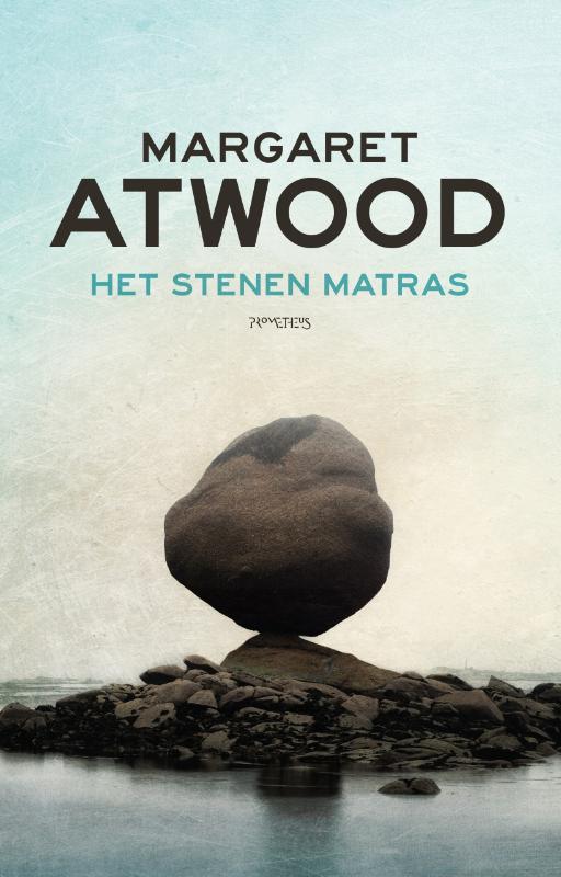 Omslag van Het stenen matras