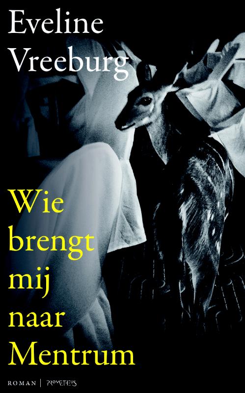 Omslag van Wie brengt mij naar Mentrum