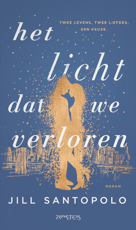 Omslag van Het licht dat we verloren