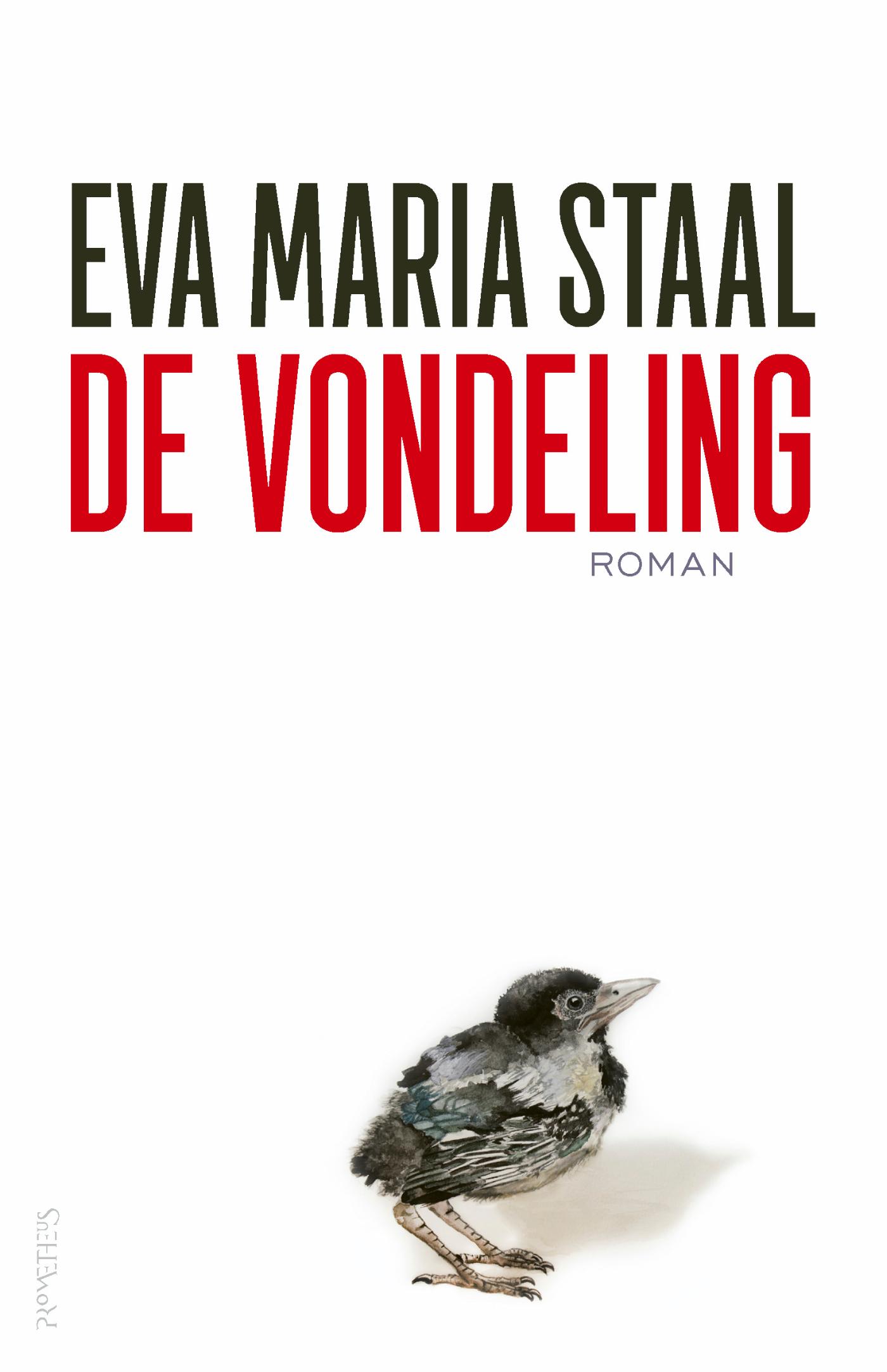 Omslag van De vondeling