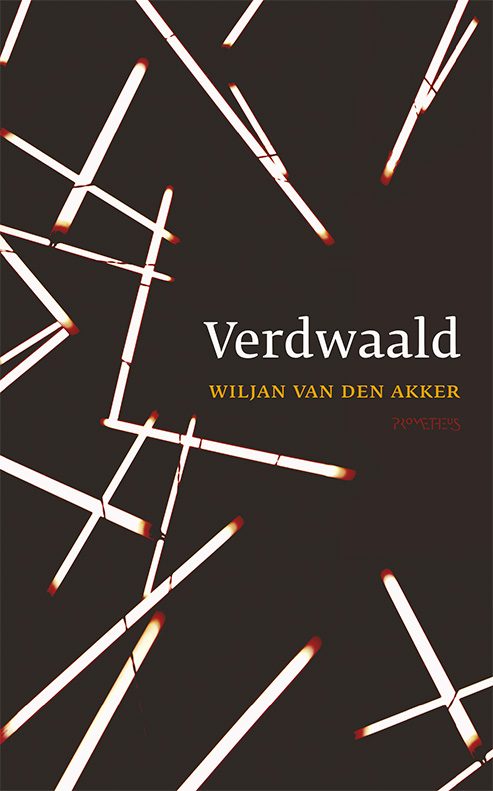 Omslag van Verdwaald