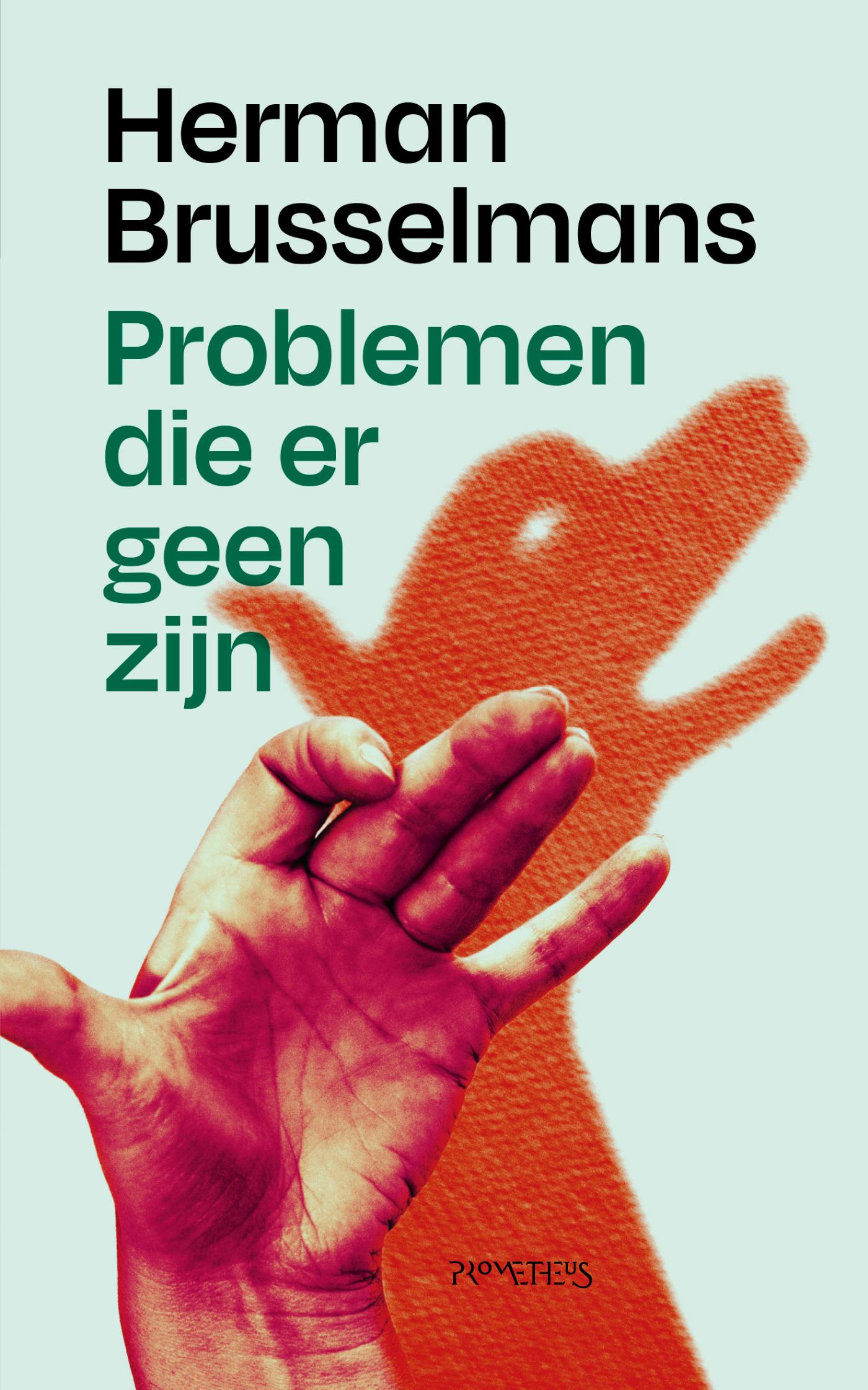 Omslag van Problemen die er geen zijn