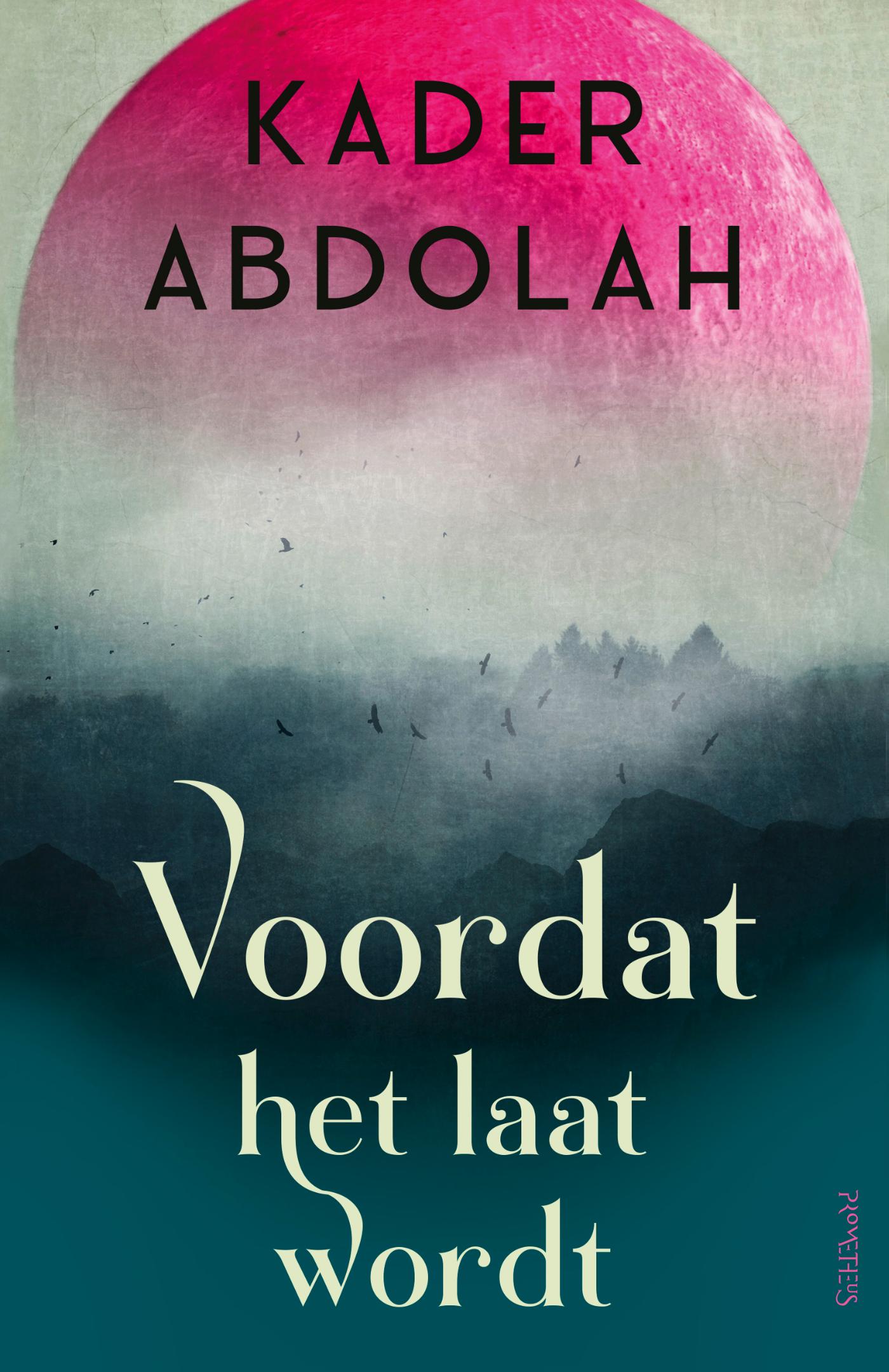 Omslag van Voordat het laat wordt