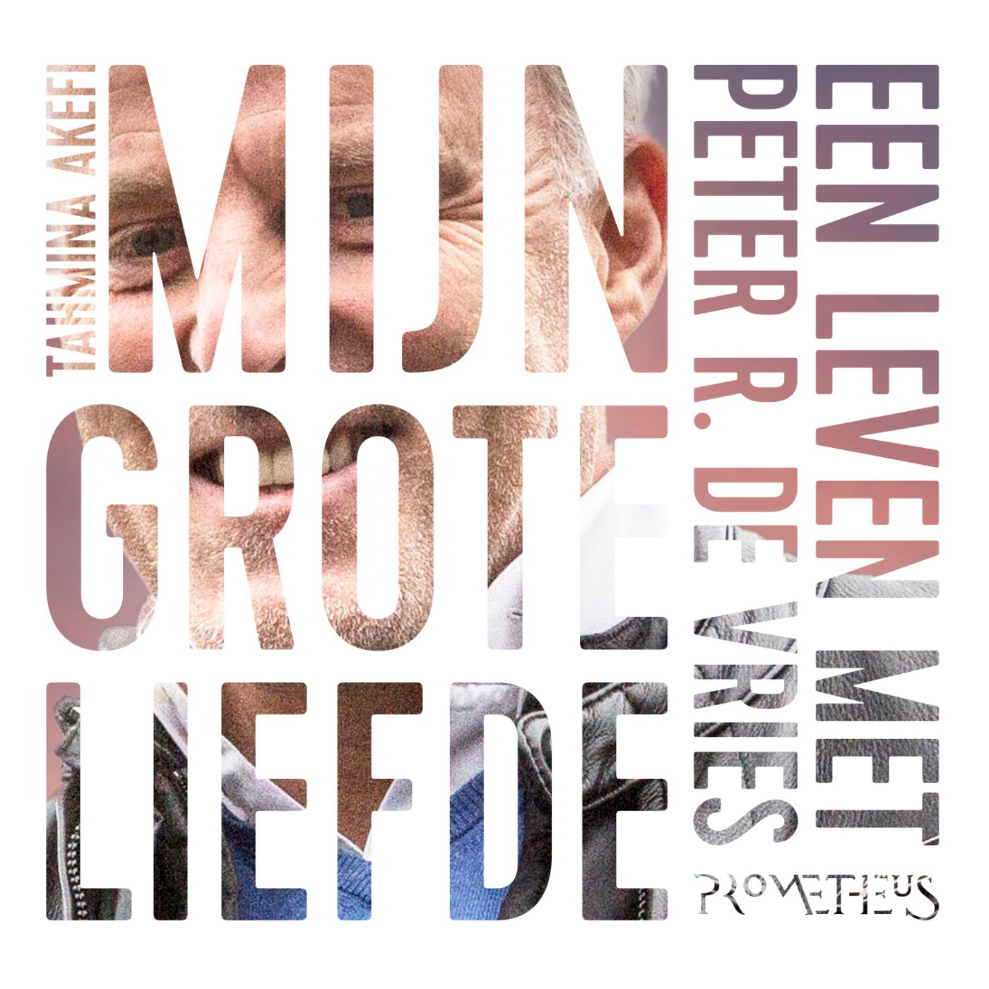 Omslag van Mijn grote liefde