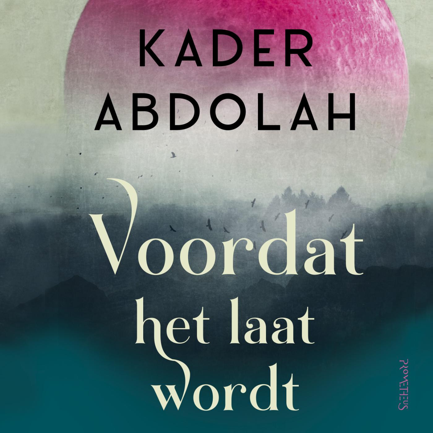 Omslag van Voordat het laat wordt