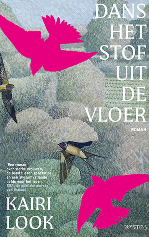 Omslag van Dans het stof uit de vloer