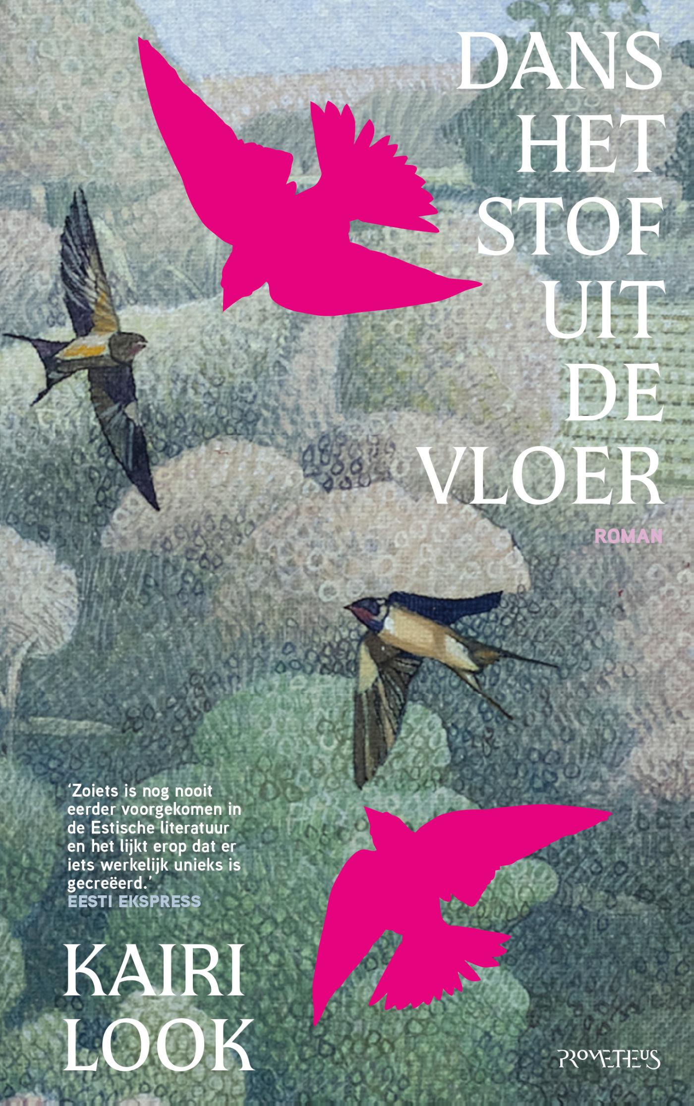 Omslag van Dans het stof uit de vloer