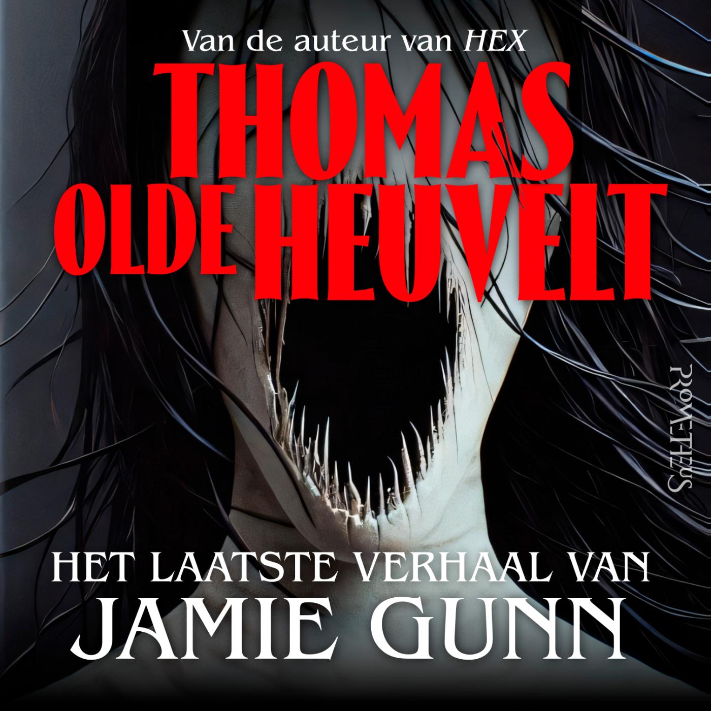 Omslag van Het laatste verhaal van Jamie Gunn