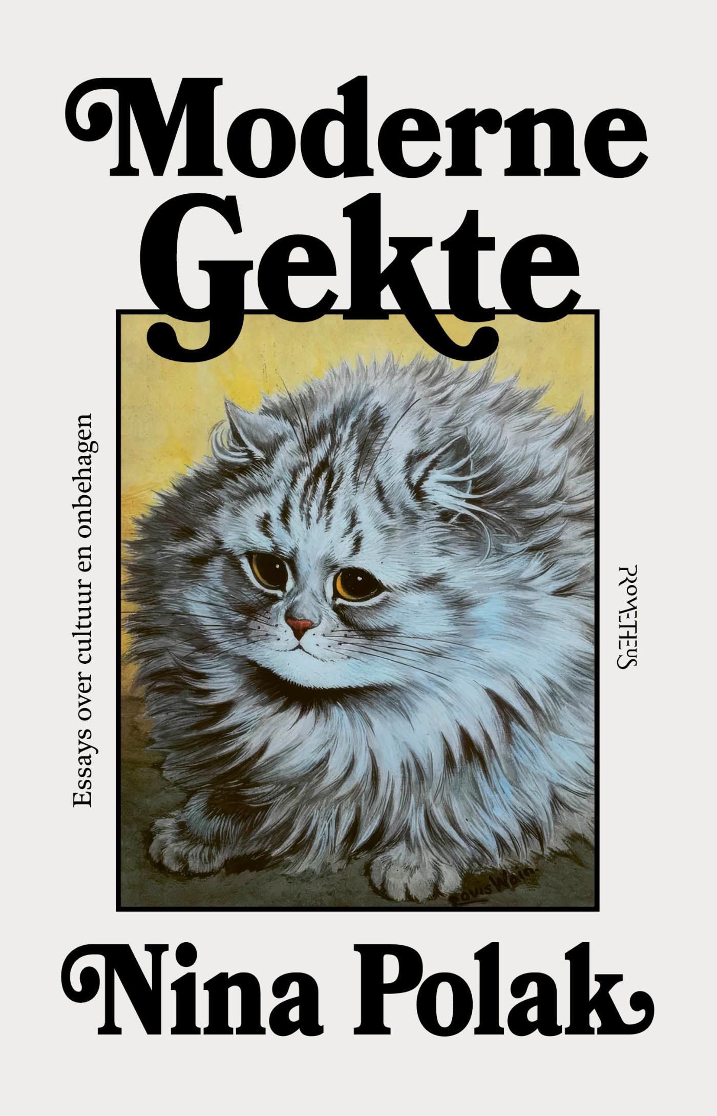 Omslag van Moderne gekte
