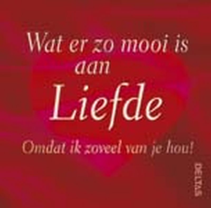 Omslag van Wat er zo mooi is aan liefde