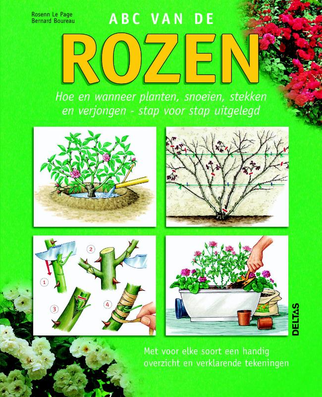 Omslag van ABC van de rozen