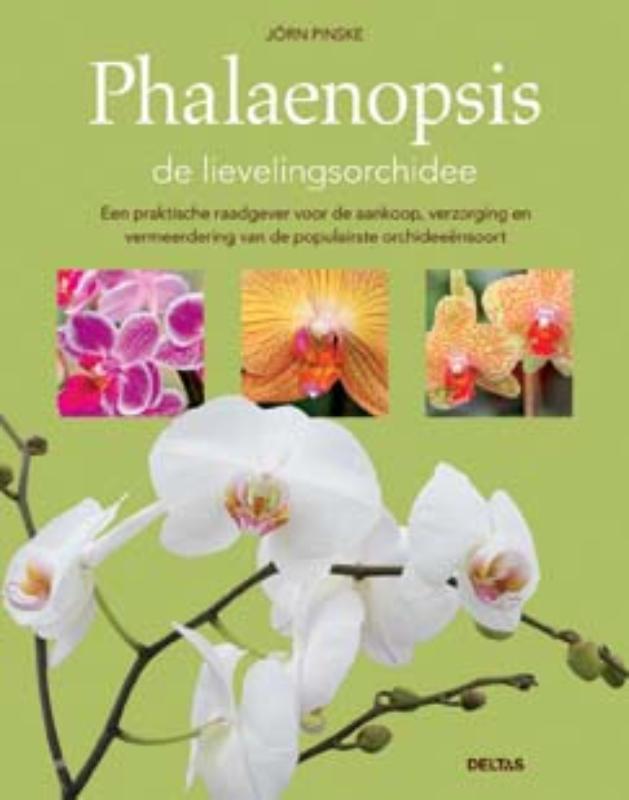 Omslag van Phalaenopsis