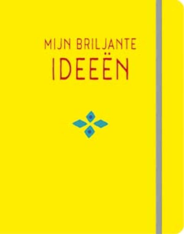 Omslag van Mijn briljante ideeën