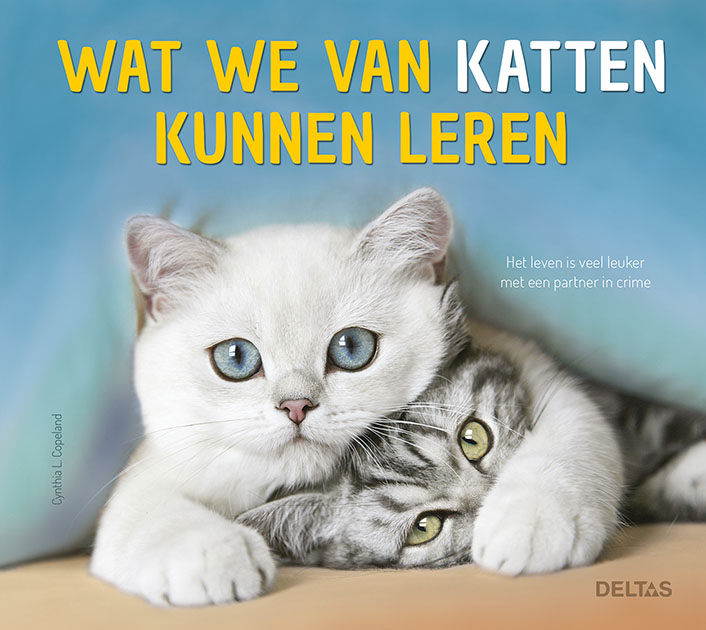 Omslag van Wat we van katten kunnen leren