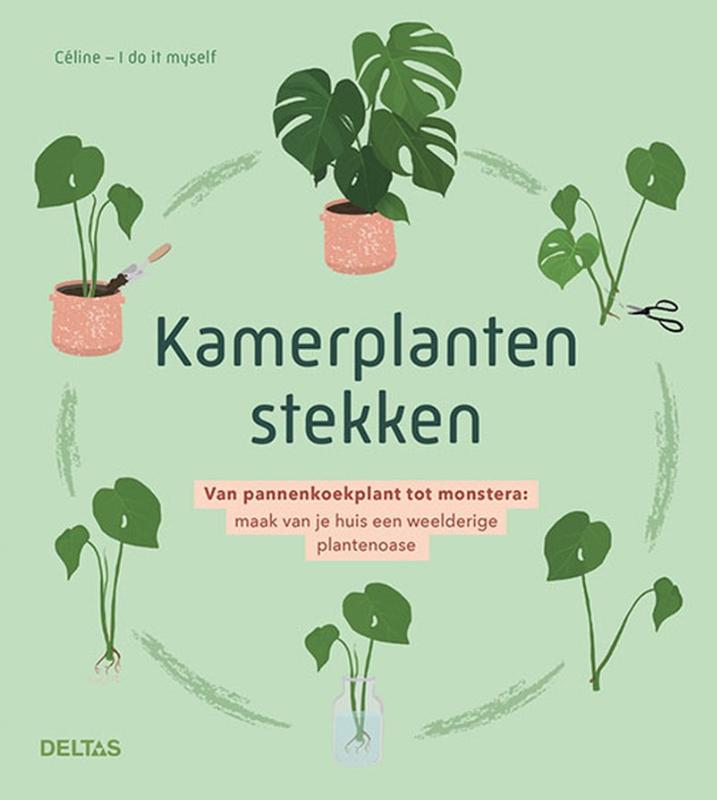 Omslag van Kamerplanten stekken