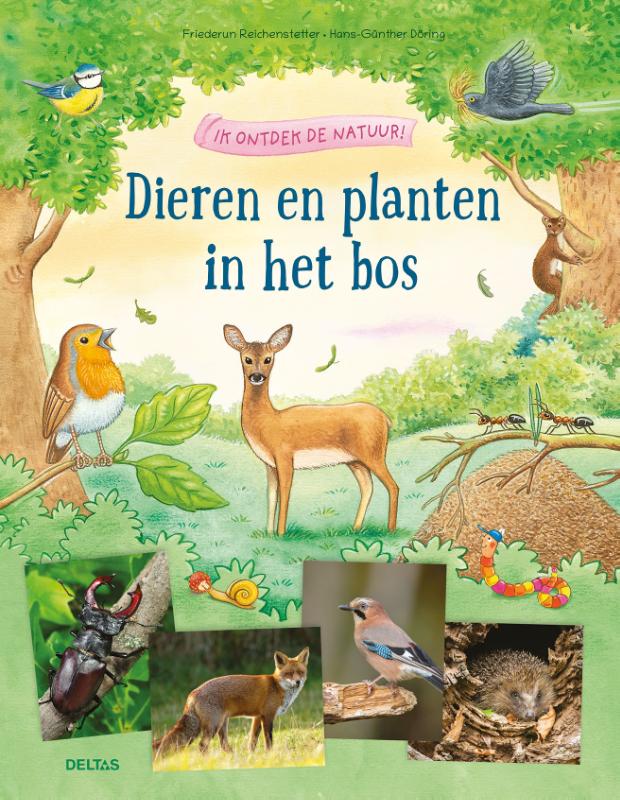 Omslag van Ik ontdek de natuur! Dieren en planten in het bos