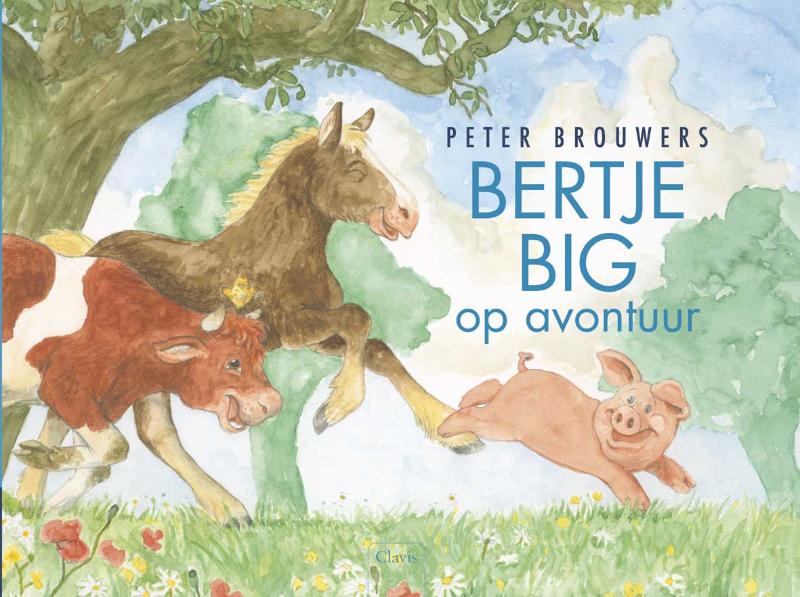 Omslag van Bertje Big op avontuur