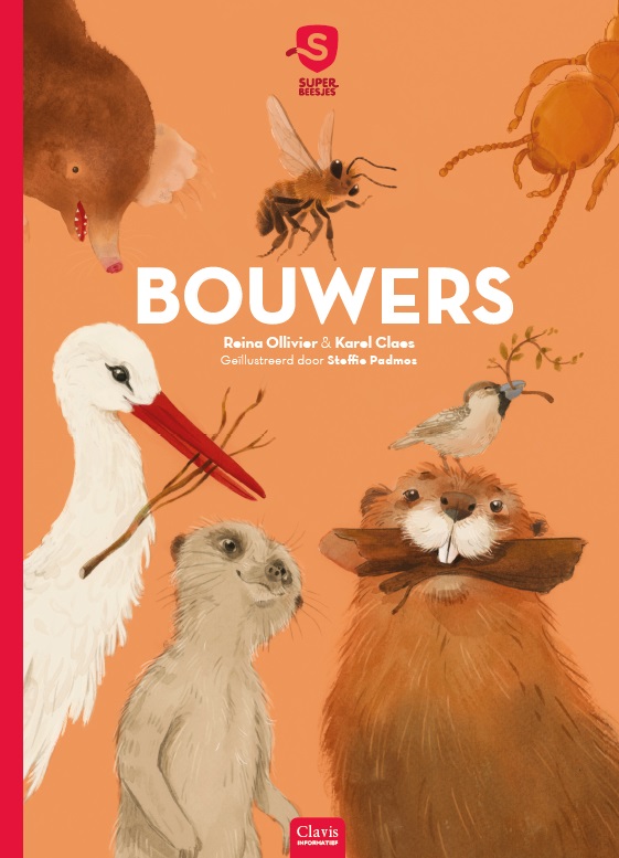 Omslag van Bouwers