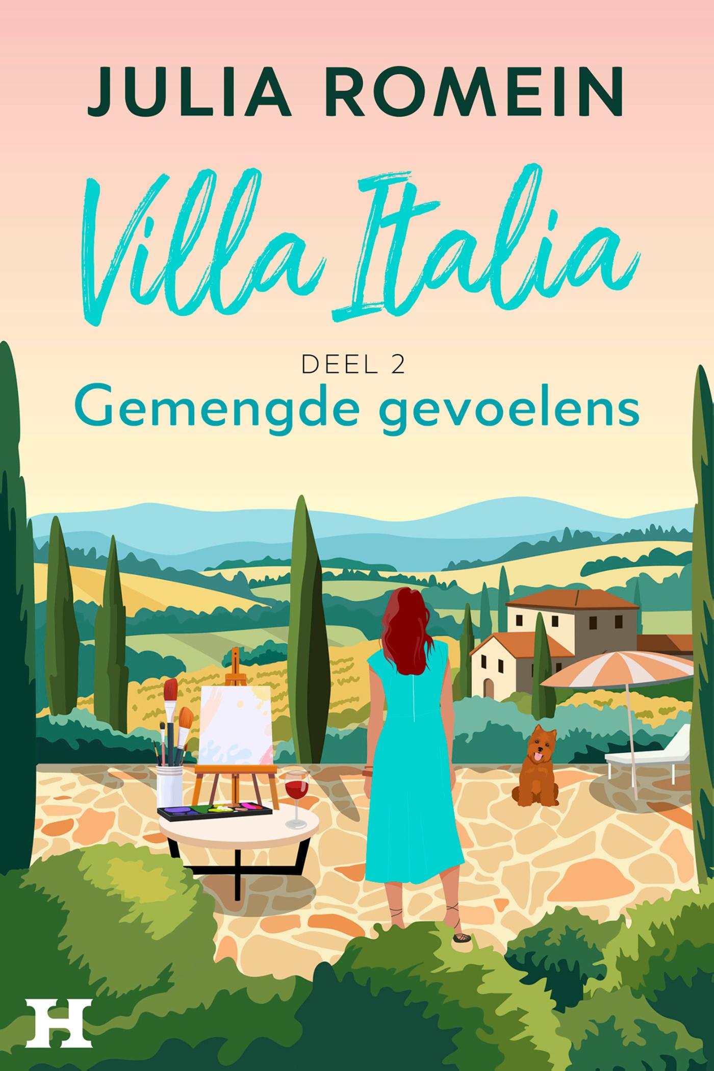 Omslag van Gemengde gevoelens