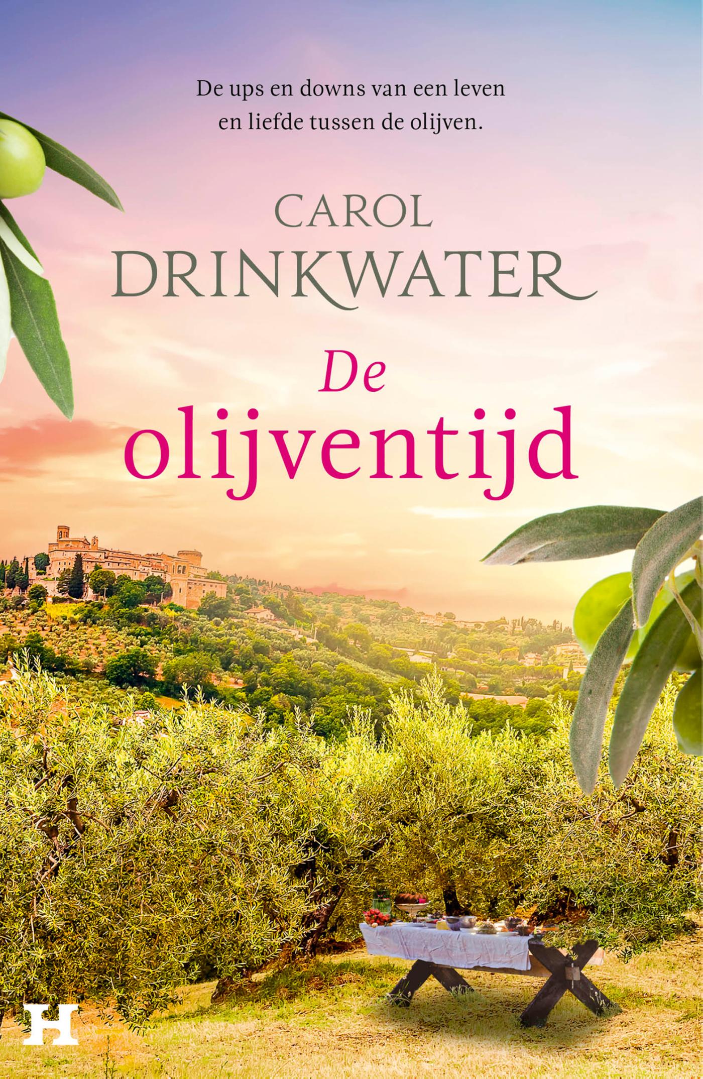 Omslag van De olijventijd