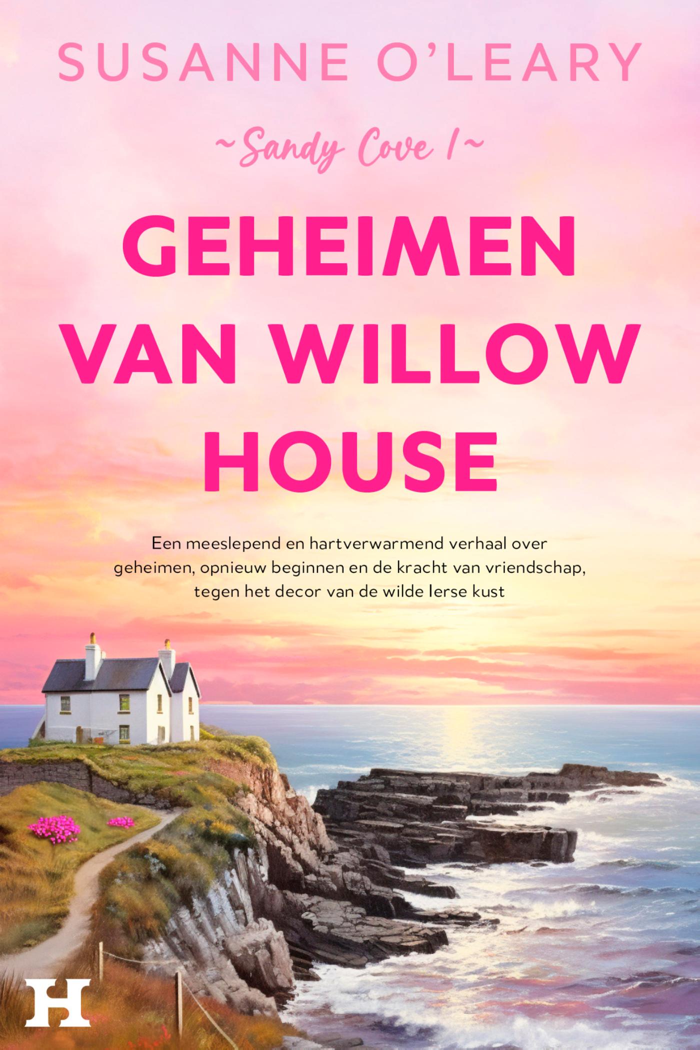 Omslag van Geheimen van Willow House