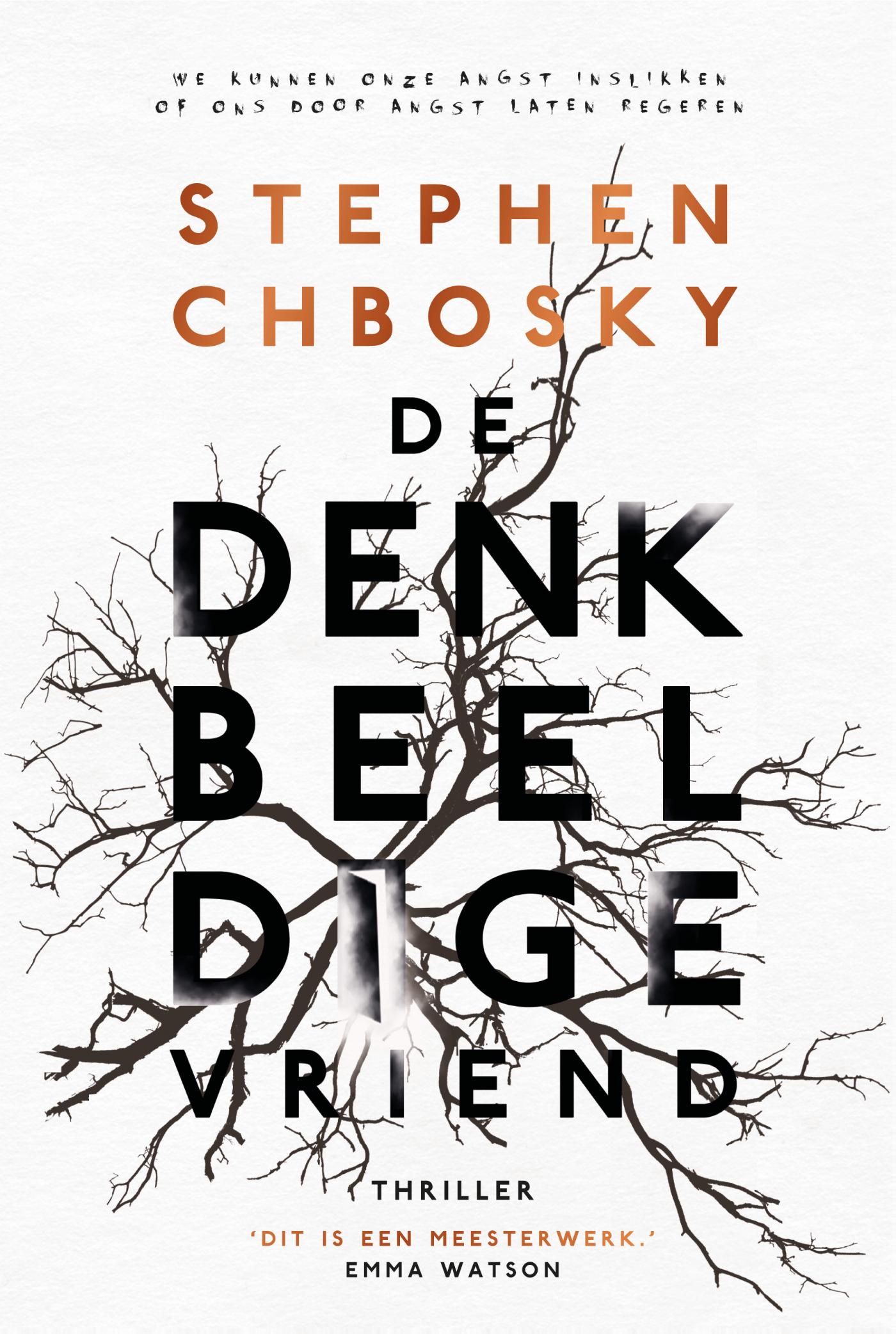 Omslag van De denkbeeldige vriend