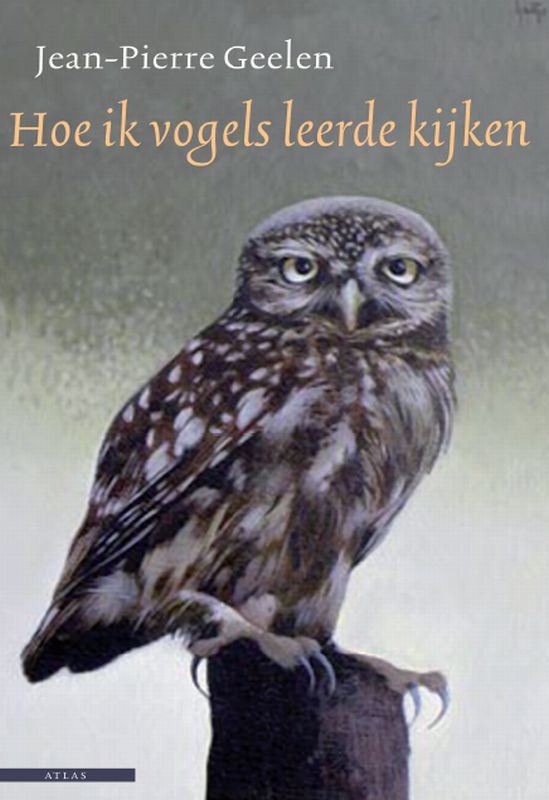 Omslag van Blinde vink