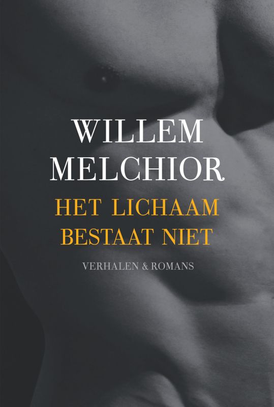 Omslag van Het lichaam bestaat niet