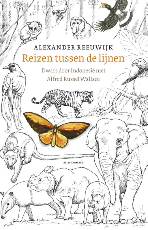Omslag van Reizen tussen de lijnen