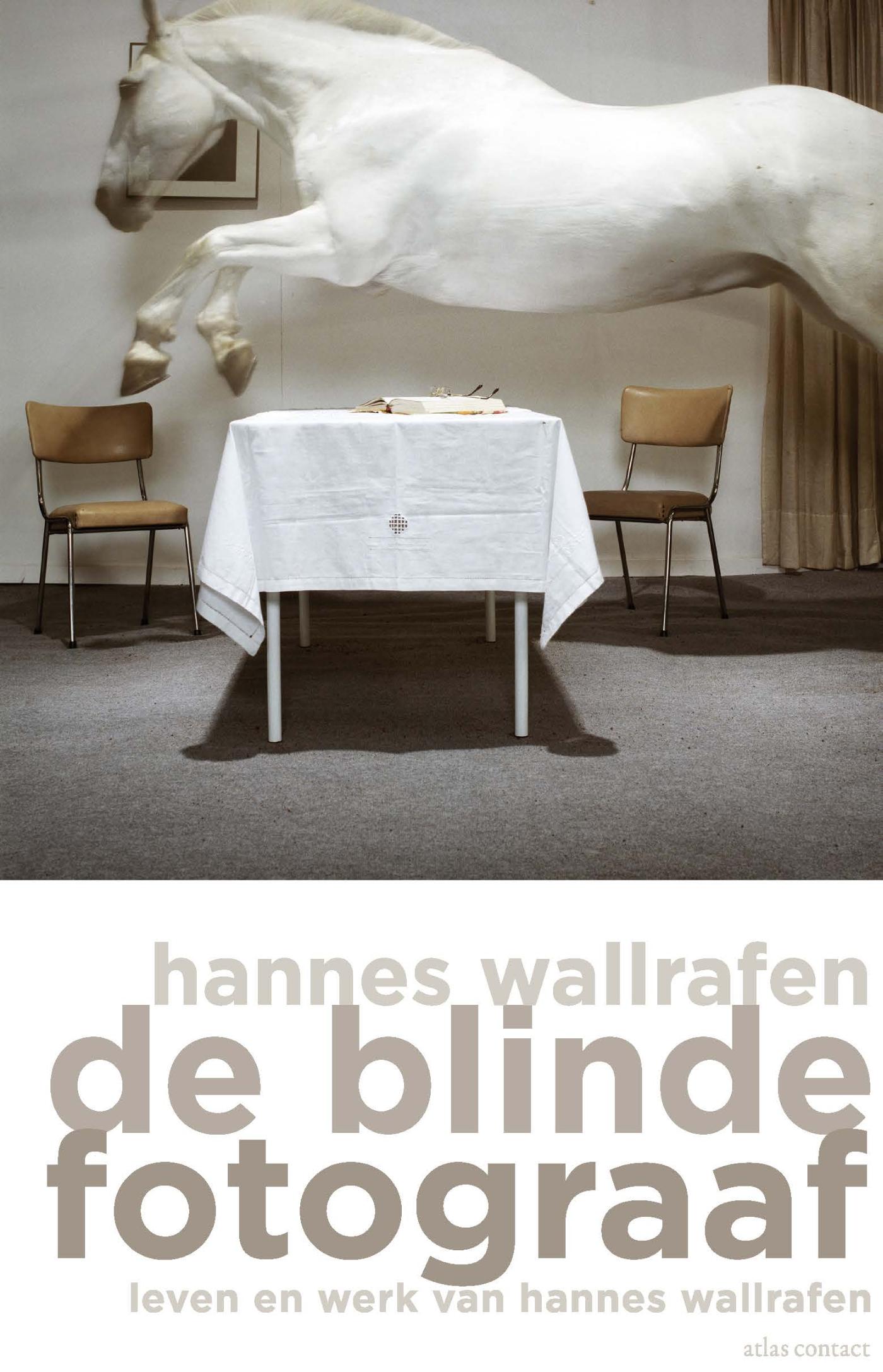 Omslag van De blinde fotograaf